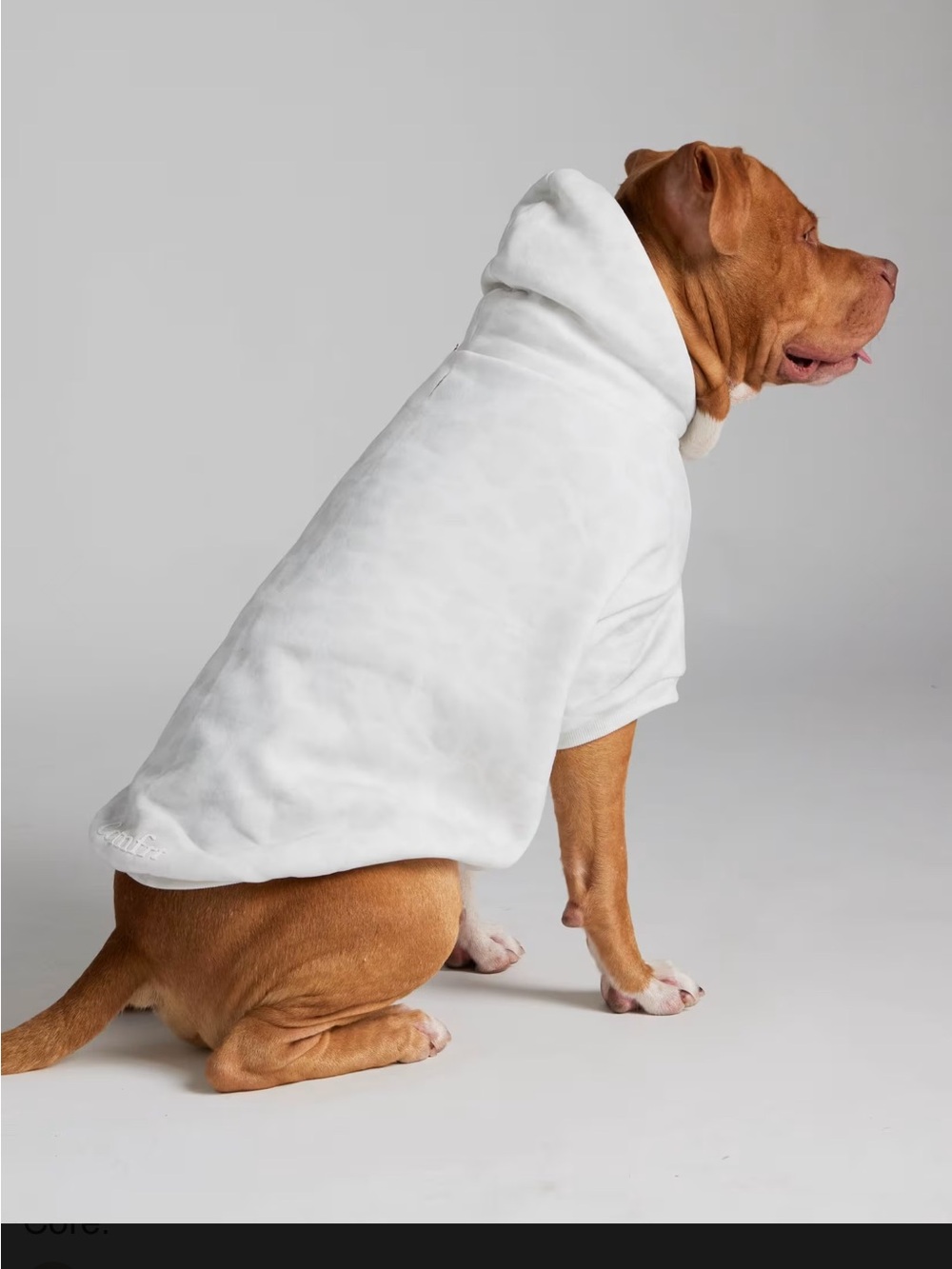 Comfrt Snow Leopard White Hooded Dog Sweatshirt - Small/Medium